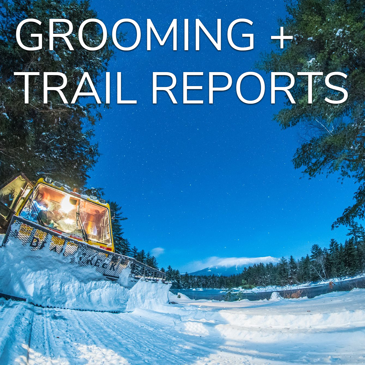 Grooming and Trail Reports